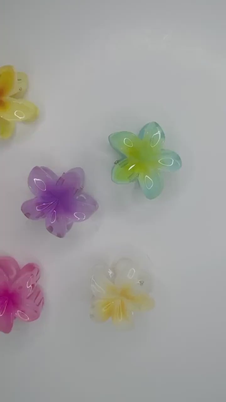 Mini Summer Flower Claw Clip